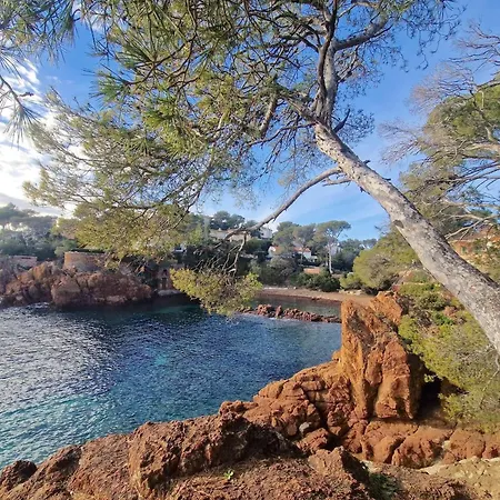 Appt Confort 3 Pieces Avec Terrasse Et Piscine A Saint-raphael - Fr-1-226a-124 Apartament *
